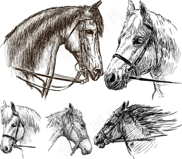5款手绘马头矢量素材 5款手绘马头矢量素材