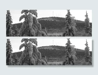 白色素雅的企业DIV网站模版