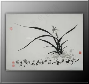 国画兰花图片