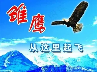 雏鹰图片