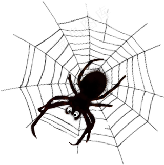 毒蜘蛛蜘蛛网PNG免扣透明素材