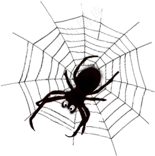 毒蜘蛛蜘蛛网PNG免扣透明素材
