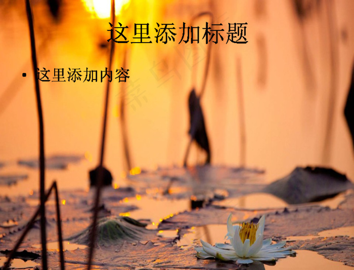 全球摄影大赛自然类（7_10）