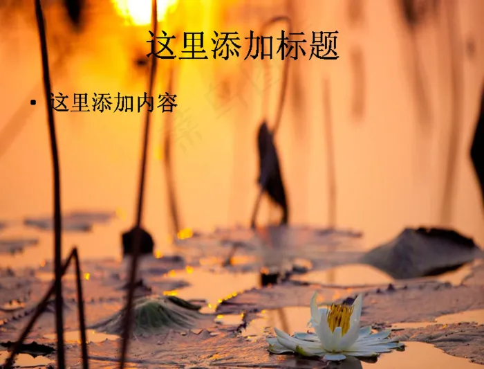 全球摄影大赛自然类（7_10）