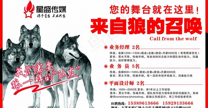 星盛传媒2013年度高薪诚聘图片