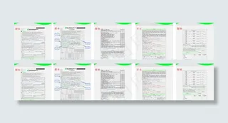 中国人寿单证样本图片