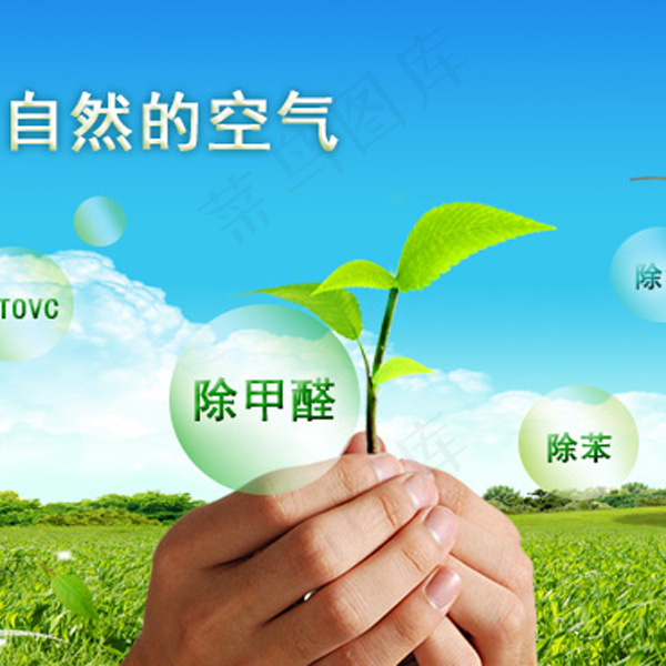 专业除甲醛设计PSD素材psd模版下载