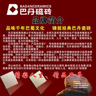 巴丹磁砖品牌简介