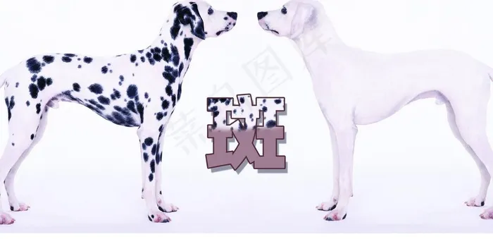 皮肤美容祛斑形象硬广告图片psd模版下载