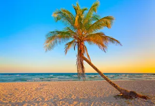 热带海滩 海边风景图片