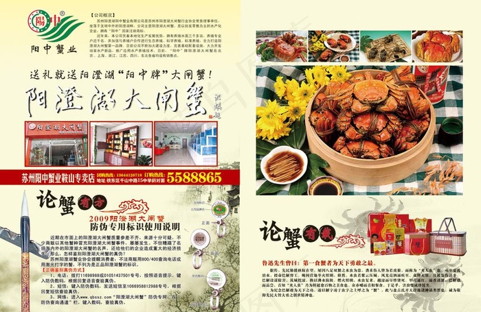 阳澄湖大闸蟹杂志广告图片psd模版下载