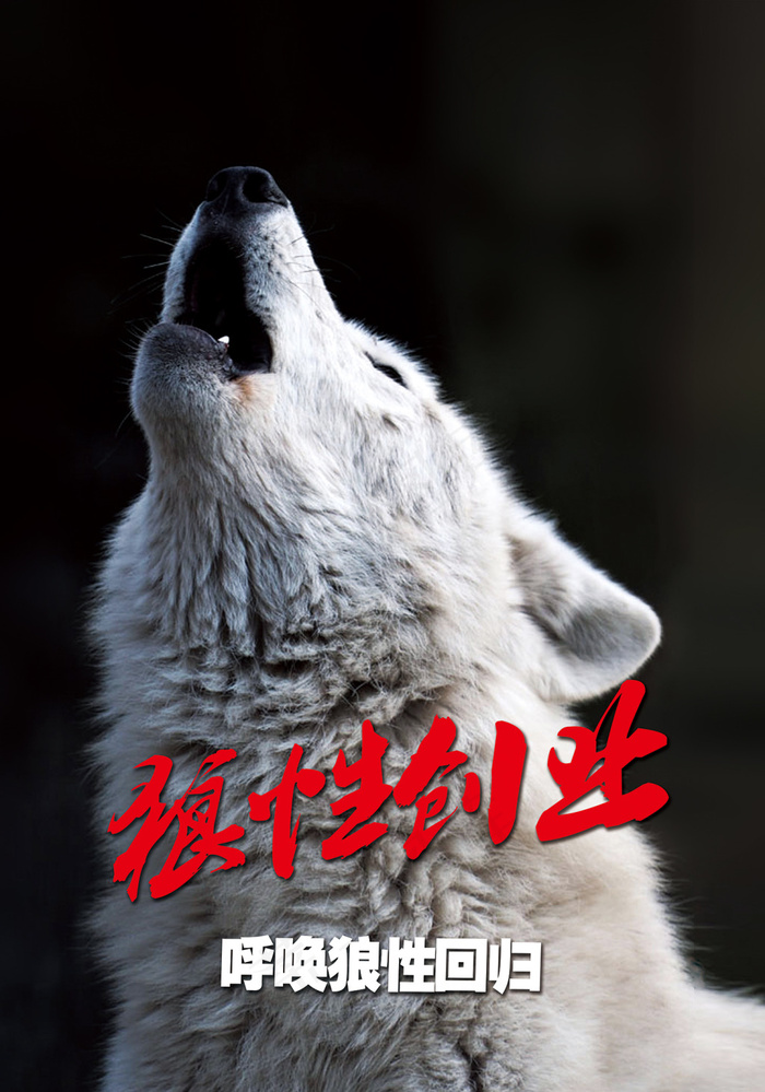狼性团队宣传海报03(5512X7874(DPI:200))psd模版下载