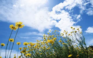 高清电脑桌面背景壁纸