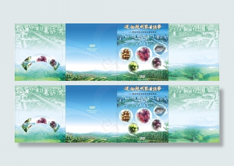 dvd包装图片cdr矢量模版下载