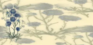 宽幅花卉背景素材