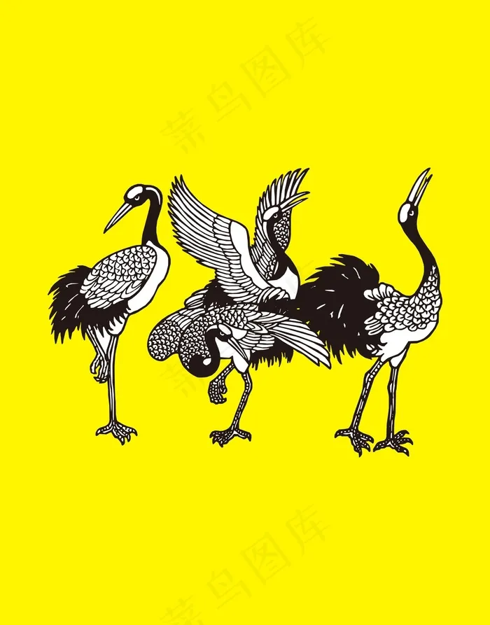 丹顶鹤插画