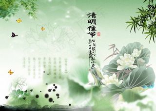 荷花莲花
