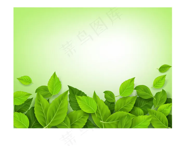 精美绿叶花纹边框设计矢量素材eps,ai矢量模版下载