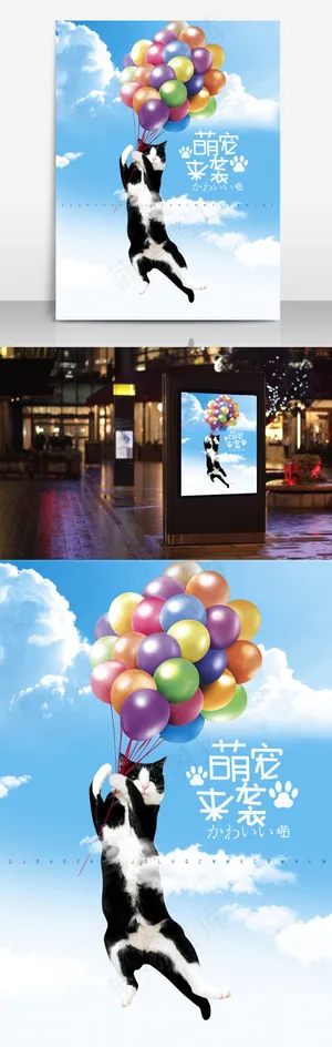 宠物领养宣传海报