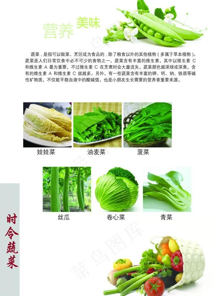 时令蔬菜菜谱图片psd模版下载