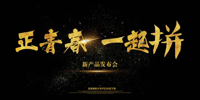 大气简约黑金正青春一起拼企业文化励...