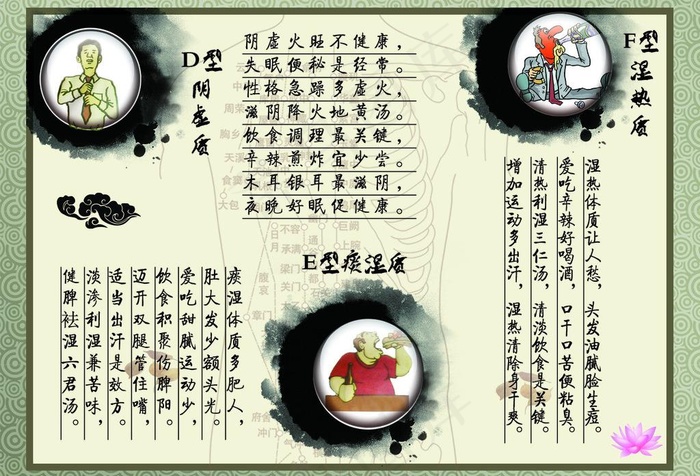 人体九大体质图片psd模版下载