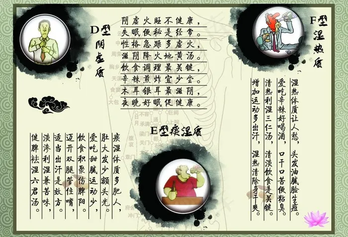 人体九大体质图片psd模版下载