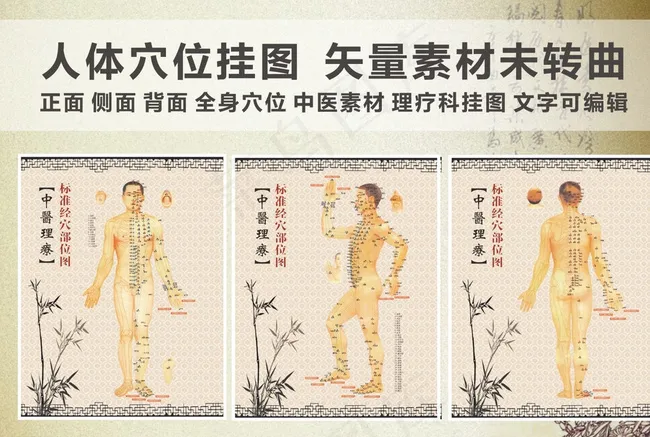 人体穴位挂图 中医挂图 理疗科图片(210X297)cdr矢量模版下载