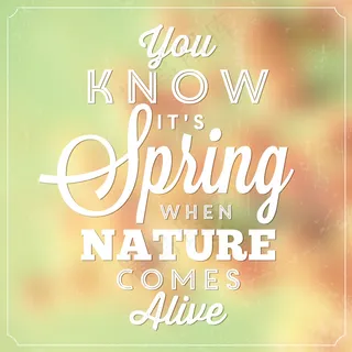 春天的背景设计