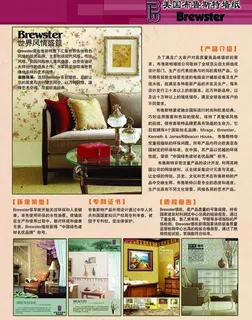 布鲁斯特墙纸宣传单图片