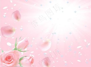 浪漫花背景图片