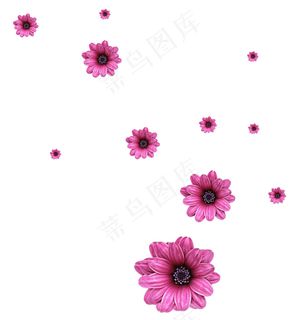 花瓣漂浮元素 花瓣漂浮元素