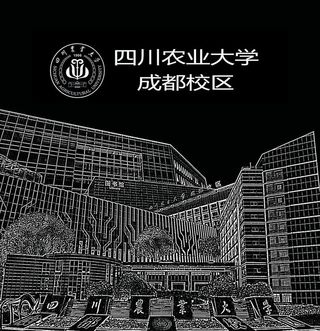 四川农业大学招贴画图片