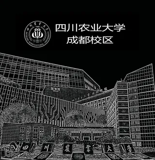 四川农业大学招贴画图片