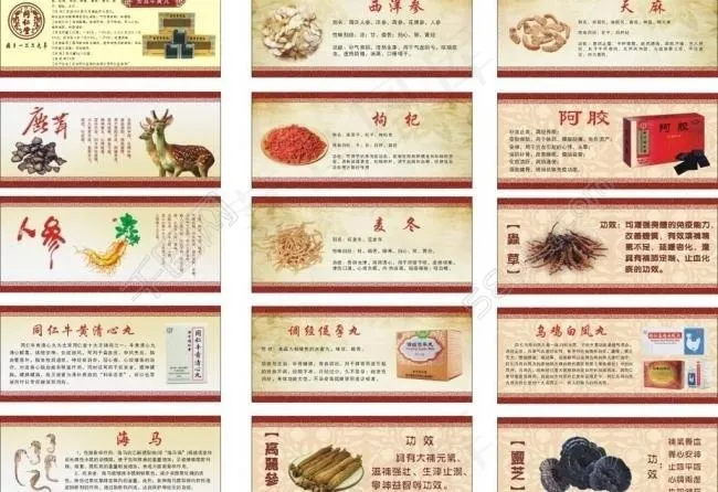 名贵药材图片