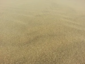 烟台沙滩图片