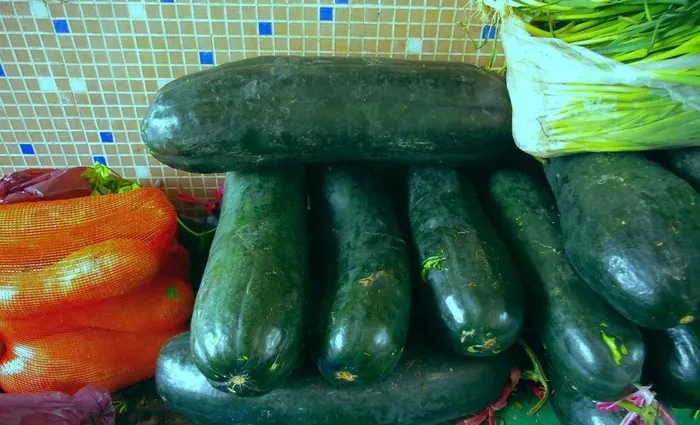 蔬菜 冬瓜（毛瓜）图片