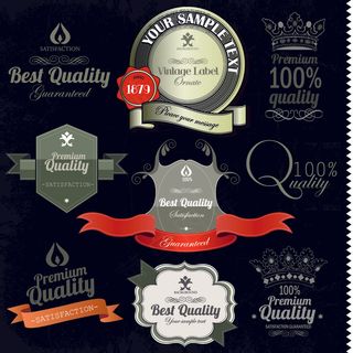 精致标签矢量图4