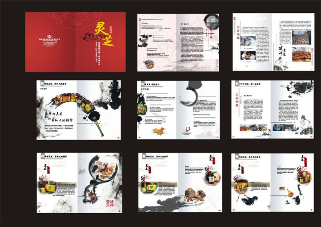 中国风灵芝画册矢量素材