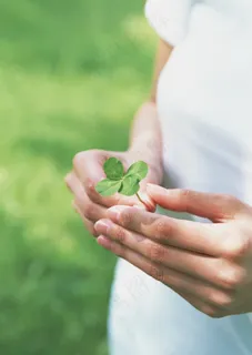 手拿四叶草的女性图片 手拿四叶草的女性图片