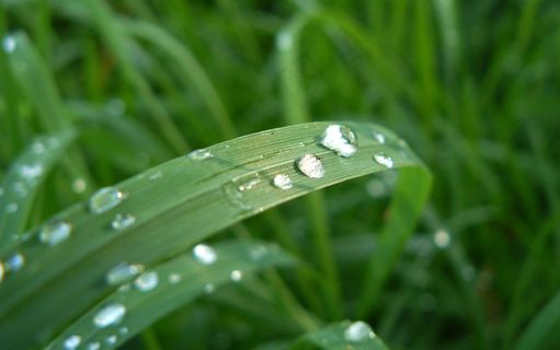 高清电脑桌面背景壁纸