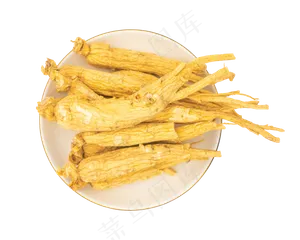 人参药用草药人参药用草药
