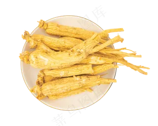 人参药用草药人参药用草药