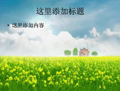 油菜花主题高清PPT模板范文-2...