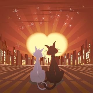 可爱的卡通猫咪矢量图