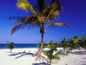 22寸高清宽屏风景ppt(8)