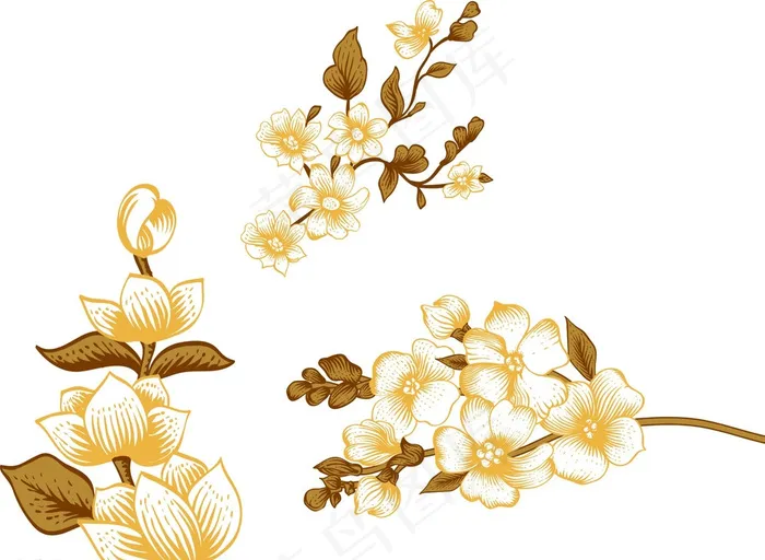 鲜花花朵 矢量图片cdr矢量模版下载