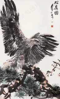 松鹰图图片 松鹰图图片
