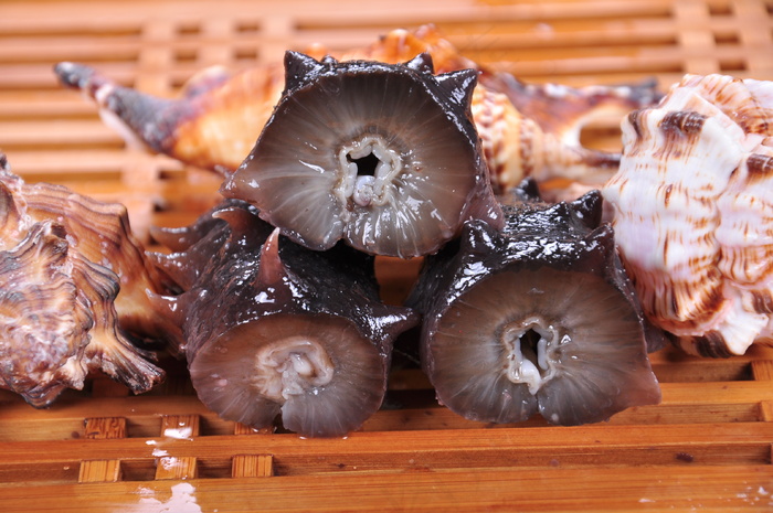 即食海参图片