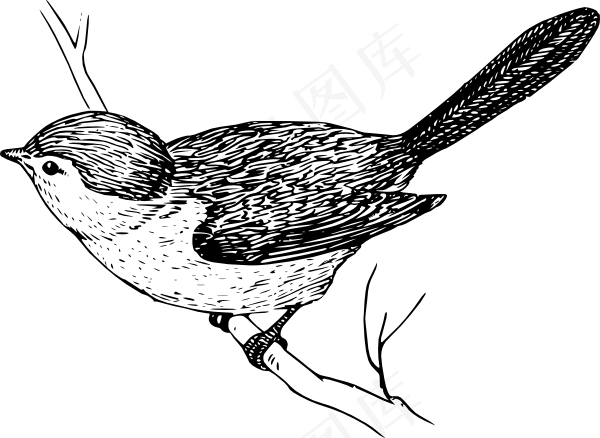 丛林山雀剪贴画